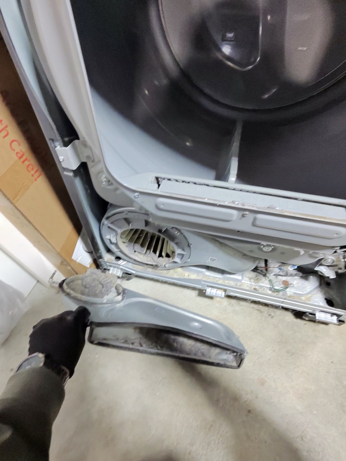 Dryer lint filter and pump cleaning